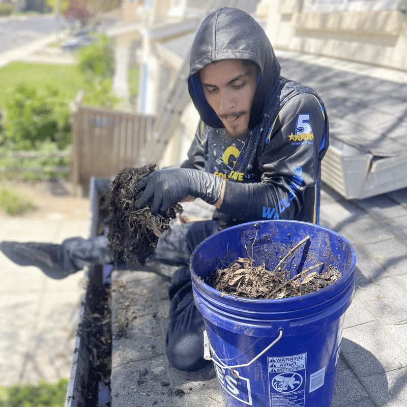 gutter cleaning company located in lafayette ca
