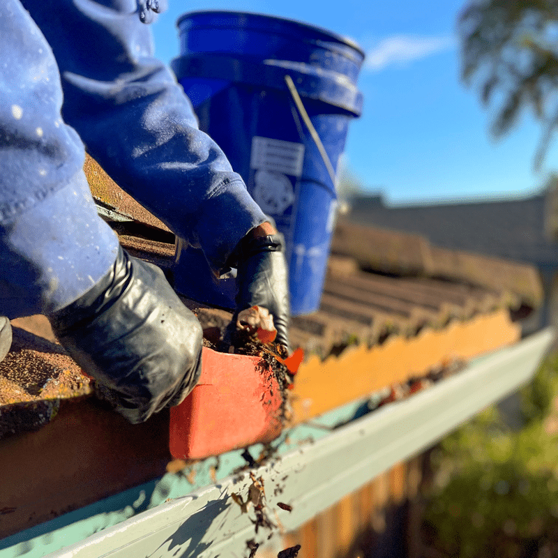 gutter-cleaning-services-in-lafayette-ca