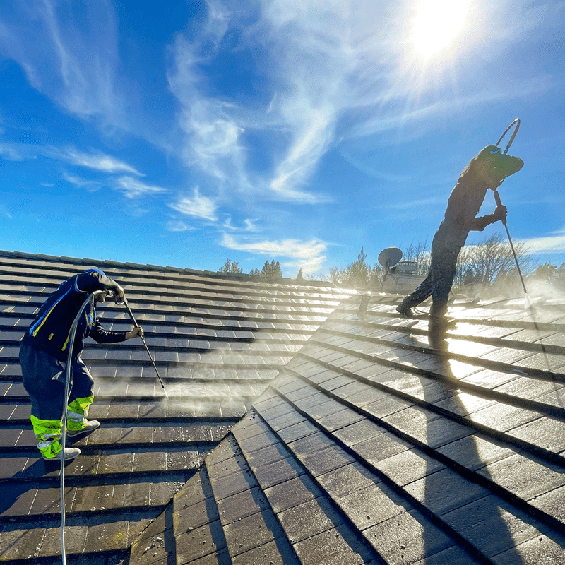 tile roof cleaning company in lafayette ca